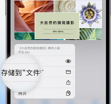 海拉尔apple维修中心分享iPhone文件应用中存储和找到下载文件