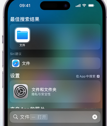 海拉尔apple维修中心分享iPhone文件应用中存储和找到下载文件 