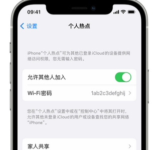 海拉尔apple服务站点分享iPhone上个人热点丢失了怎么办 