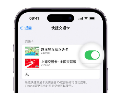 海拉尔apple维修点分享iPhone上更换Apple Pay快捷交通卡手绘卡面 