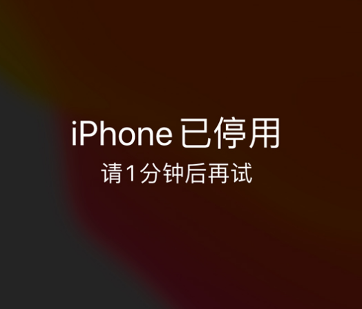 海拉尔苹果手机维修分享:iPhone 显示“不可用”或“已停用”怎么办？还能保留数据吗？ 