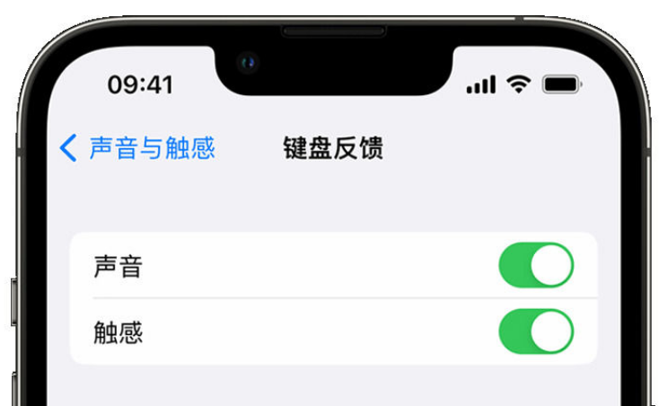 海拉尔苹果手机维修分享iPhone 14触感键盘使用方法 