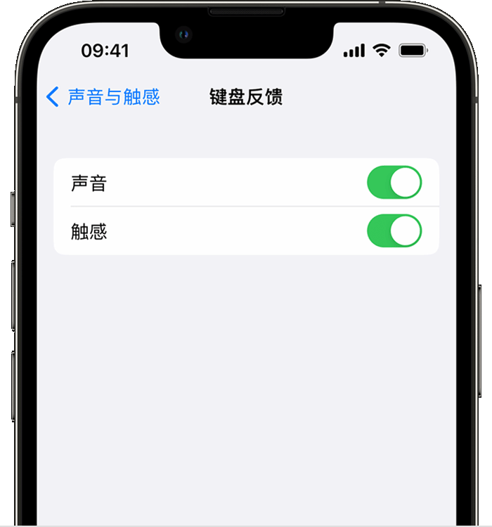 海拉尔苹果14维修店分享如何在 iPhone 14 机型中使用触感键盘 