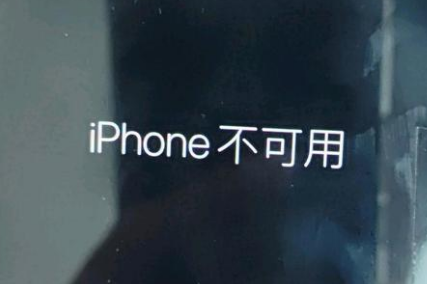 海拉尔苹果服务网点分享锁屏界面显示“iPhone 不可用”如何解决 