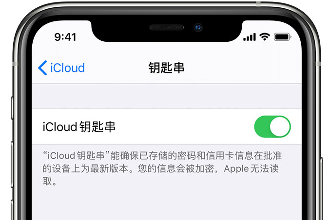 海拉尔苹果手机维修分享在 iPhone 上开启 iCloud 钥匙串之后会储存哪些信息 