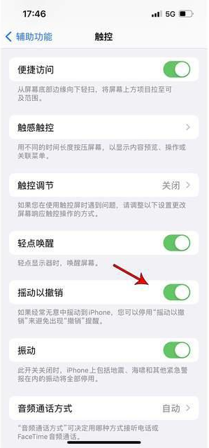 海拉尔苹果手机维修分享iPhone手机如何设置摇一摇删除文字 