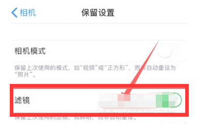 海拉尔苹果13维修分享iPhone13拍照有绿点是怎么回事 