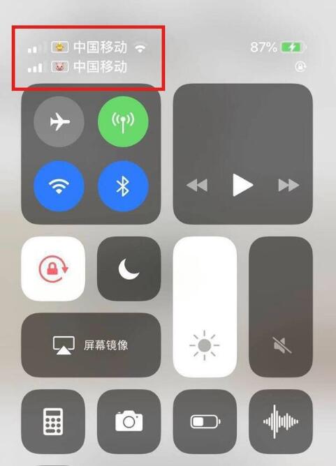 海拉尔苹果手机维修分享为 iPhone 12 双卡设置标签 