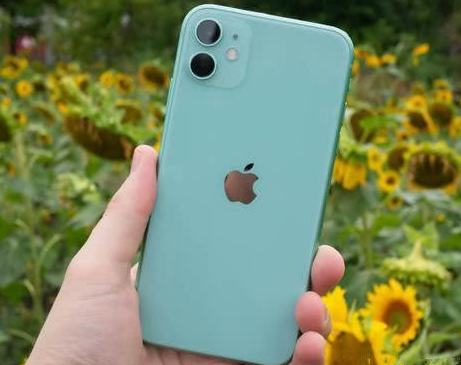 海拉尔苹果维修点分享iPhone 11锁屏密码认知与使用科普 